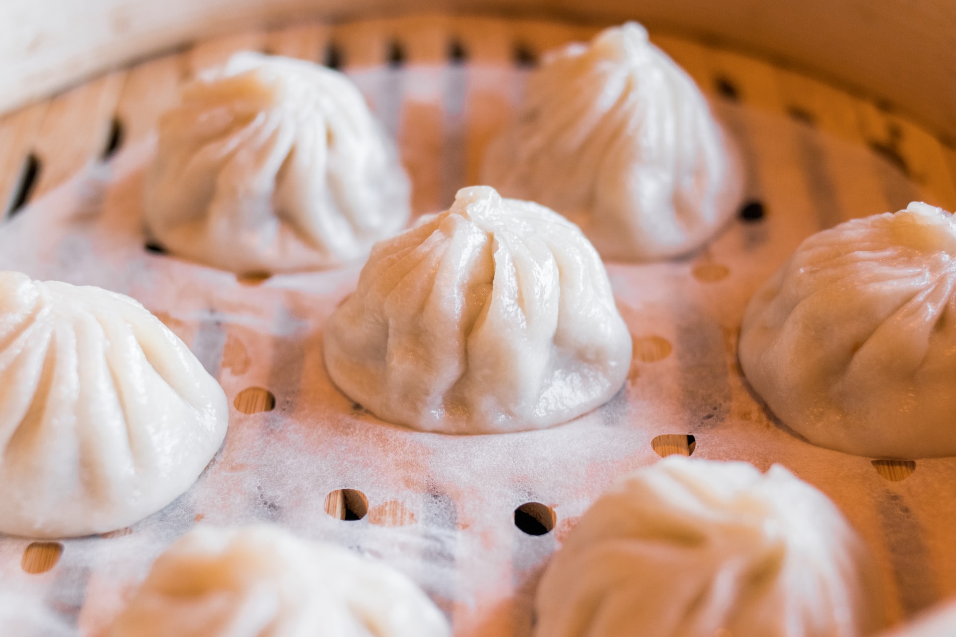 Close-up of a handmade Chinese dumpling